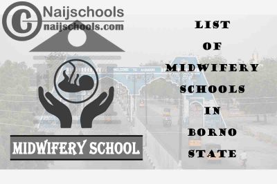 Full List of Accredited Midwifery Schools in Borno State Nigeria
