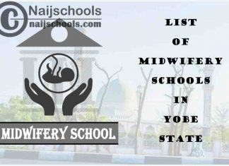 Full List of Accredited Midwifery Schools in Yobe State Nigeria
