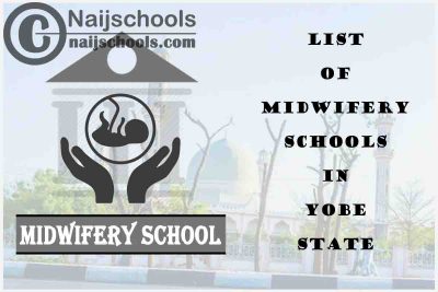 Full List of Accredited Midwifery Schools in Yobe State Nigeria
