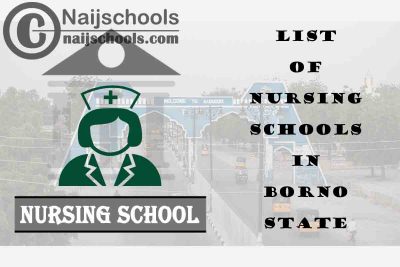 Complete List of Accredited Nursing Schools in Borno State Nigeria