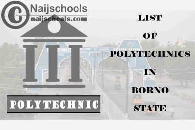 Full List of Accredited Polytechnics in Borno State Nigeria