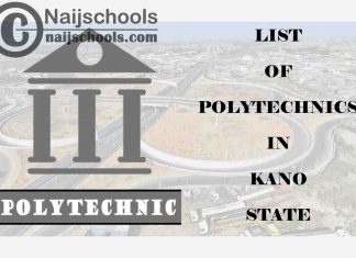 Full List of Accredited Polytechnics in Kano State Nigeria
