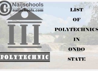 Full List of Accredited Polytechnics in Ondo State Nigeria