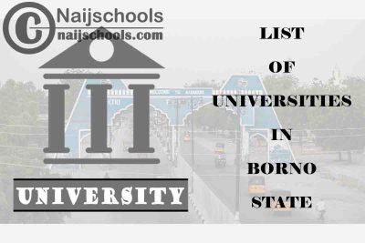 Full List of Federal, State & Private Universities in Borno State Nigeria