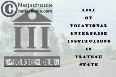 Full List of Vocational Enterprise Institutions in Plateau State Nigeria