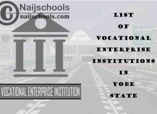Full List of Vocational Enterprise Institutions in Yobe State Nigeria