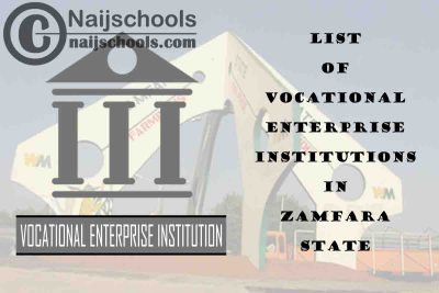 Full List of Vocational Enterprise Institutions in Zamfara State Nigeria