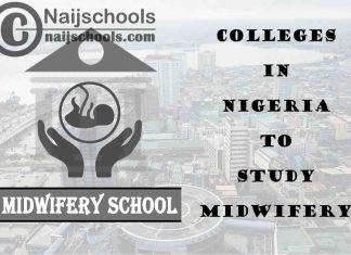 Full List of Accredited Colleges in Nigeria to Study Midwifery