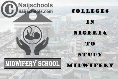 Full List of Accredited Colleges in Nigeria to Study Midwifery
