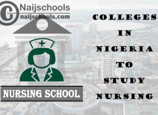 Full List of Accredited Colleges in Nigeria to Study Nursing