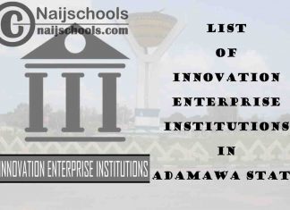 Full List of Innovation Enterprise Institutions in Adamawa State Nigeria