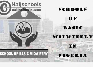 Full List of Accredited Schools of Basic Midwifery in Nigeria