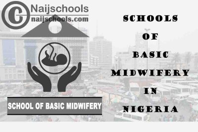 Full List of Accredited Schools of Basic Midwifery in Nigeria