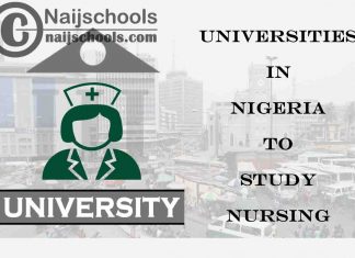 Full List of Accredited Universities in Nigeria to Study Nursing