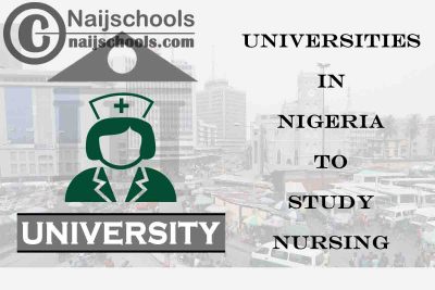 Full List of Accredited Universities in Nigeria to Study Nursing