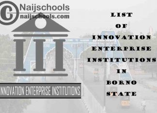 Full List of Innovation Enterprise Institutions in Borno State Nigeria