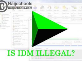 Is Internet Download Manager (IDM) Safe or Illegal to Use? Check!