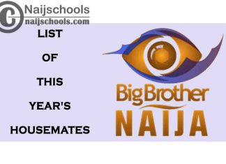Complete List & Brief Details of this Year's BBNaija (BBN) 2021 Season 6 Housemates