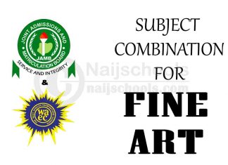 JAMB and WAEC Subject Combination for Fine Art