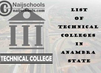 Full List of Technical Colleges in Anambra State Nigeria