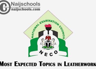 Most Expected Topics in 2023 NECO Leatherwork SSCE & GCE | CHECK NOW