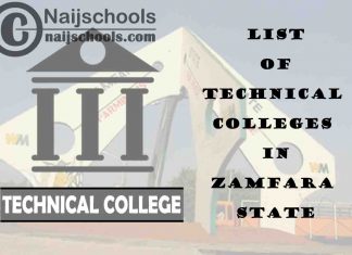 Full List of Technical Colleges in Zamfara State Nigeria