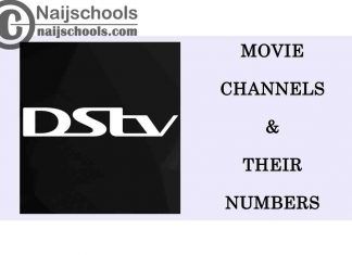 All the DStv Movie Channels List with Numbers 2021