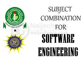 Subject Combination for Software Engineering