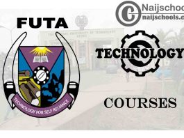 FUTA Courses for Technology & Engineering Students