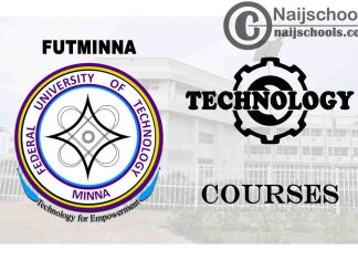 FUTMINNA Courses for Technology & Engine Students