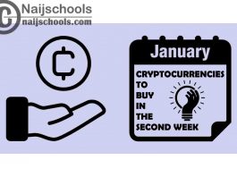 15 Cryptocurrencies to Buy in the Second Week of January 2024
