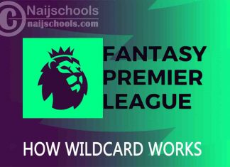 How the Wildcard Chip Works in FPL