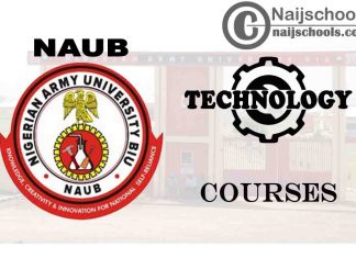 NAUB Courses for Technology & Engineering Students