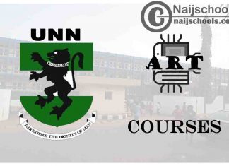 UNN Courses for Art Students to Study; Full List