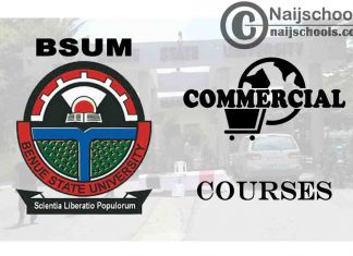 BSUM Courses for Commercial Students to Study