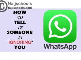 How to Tell if Someone is Ignoring You on WhatsApp