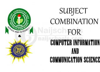 Subject Combination for Computer Information and Communication Science