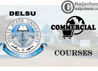 DELSU Courses for Commercial Students to Study