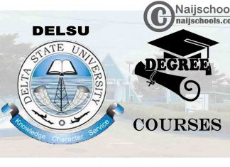 Degree Courses Offered in DELSU for Students to Study