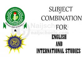 Subject Combination for English and International Studies