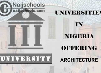 Universities in Nigeria Offering Architecture: Federal/State/Private