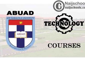 ABUAD Courses for Technology & Engineering Students