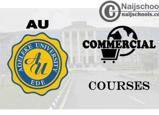 Adeleke University Courses for Commercial Students