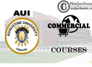 Augustine University Courses for Commercial Students