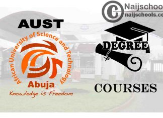Degree Courses Offered in AUST for Students to Study