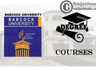 Degree Courses Offered in Babcock University