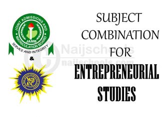 Subject Combination for Entrepreneurial Studies