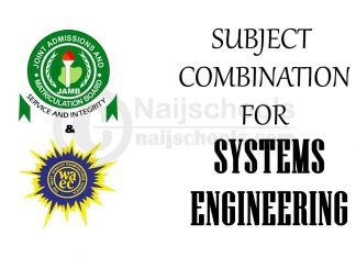 Subject Combination for Systems Engineering