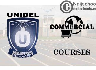UNIDEL Courses for Commercial Students to Study