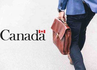 11 Good 100 Dollar Per Hour Canada Jobs to Apply for in 2023